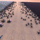 That’s quite a battle scene.